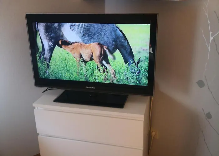 Апартаменты Fewo Steinau An Der Strasse, Marborn Marborn